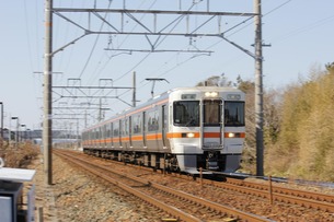 313系