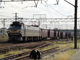 DSC00176