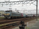 DSC00938