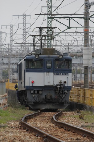 EF64¡¡À¾É;¾