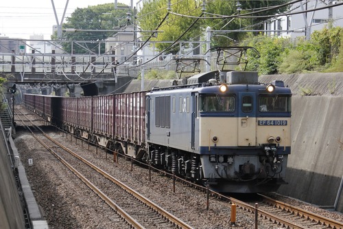 EF641019