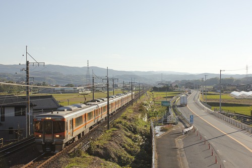 313-8000