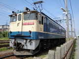 DSC00244