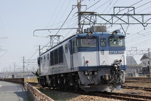 EF64¡¡À¾É;¾