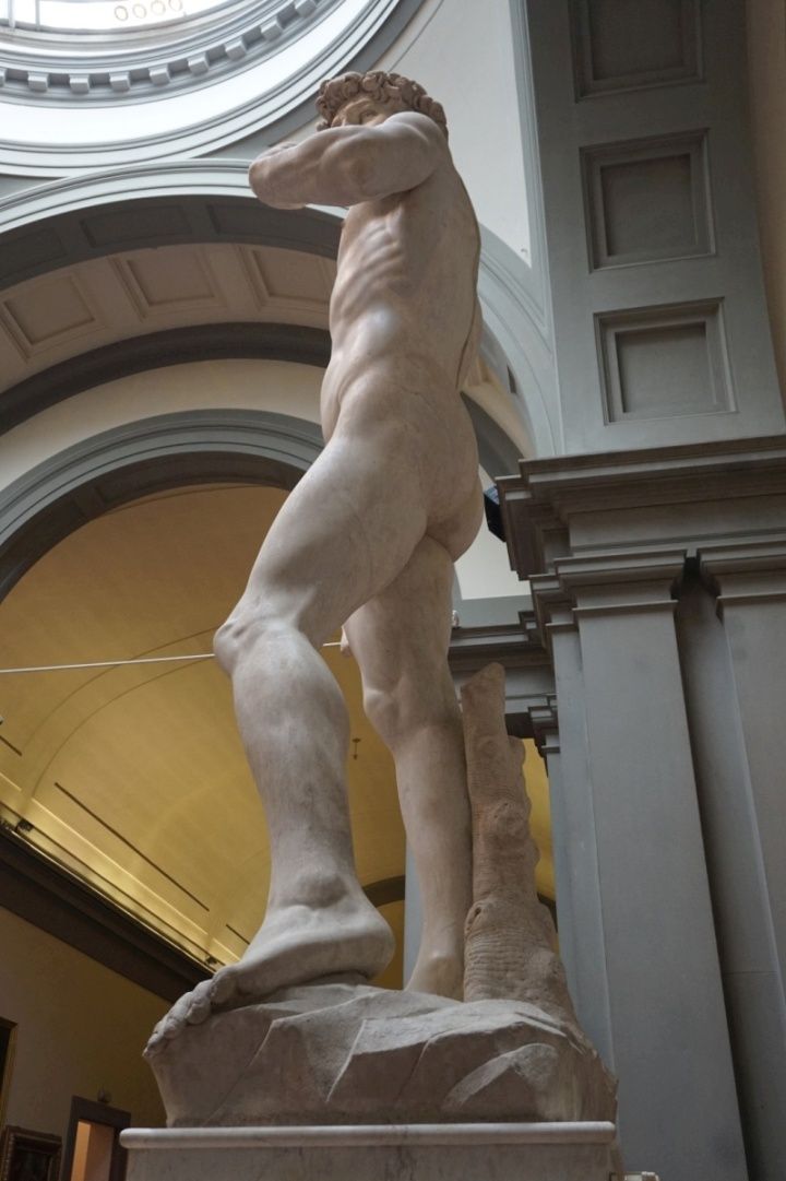 d-019