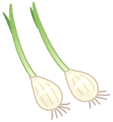 vegetable_hatsuga_ninniku
