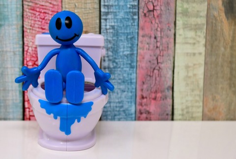 toilet-3311305_1920