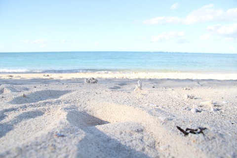 beach-2610305_1920