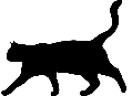 cat-1583522_1280