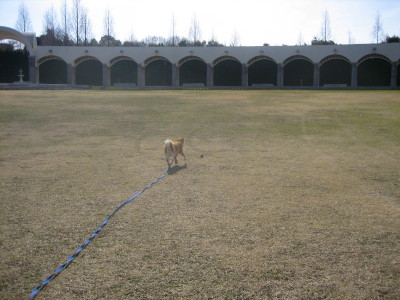 0462e136.jpg