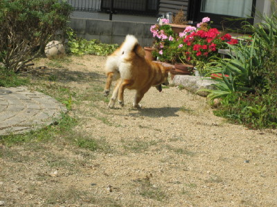 5d097ae2.jpg