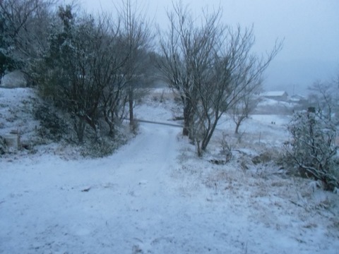 2015、3月9夕方雪景色