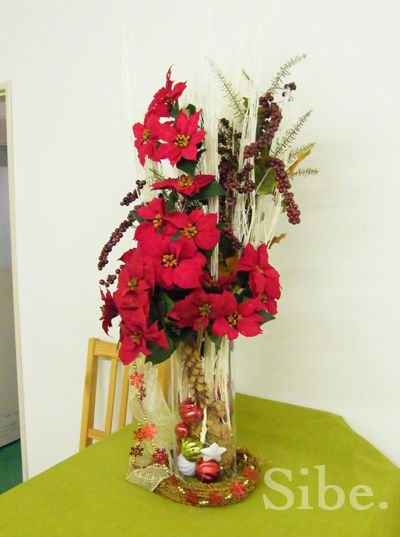 DSCF9879