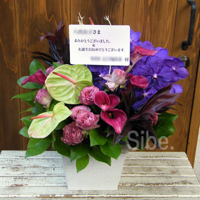 DSCF6702