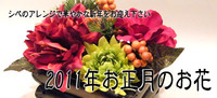 2011¤ªÀµ·î¥Ð¥Ê¡¼