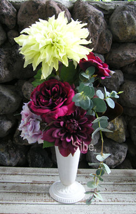 DSCF6548