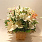 65615f75.jpg