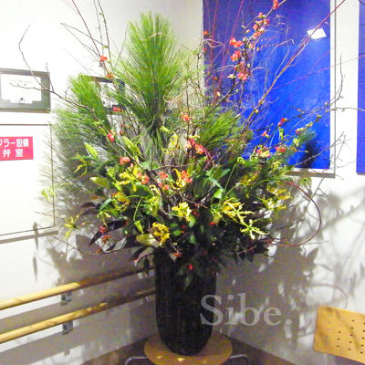 DSCF9976