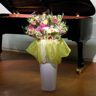 DSCF7956
