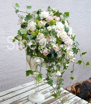 DSCF86010