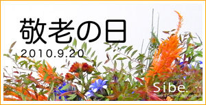 sp_photo
