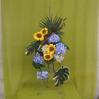 DSCF3592