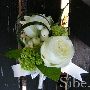 DSCF0759