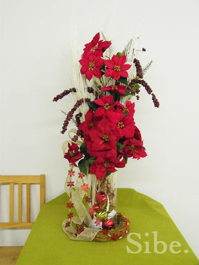 DSCF9877