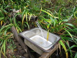 西井戸の湧水 西井戸の湧水