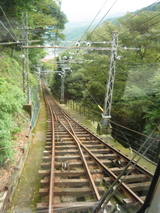 �绳���ز�����ϩ��ʬ��
