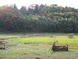 西井戸 西井戸