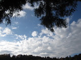 西井戸の空 西井戸の空