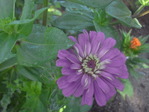 R0014338