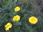 R0014337