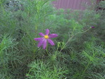 R0014345