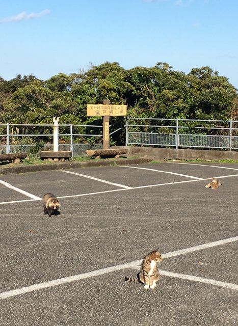 ȋȑqZ 238rڔLKCWuX [f]ڋ֎~]©bbspink.com	->摜>3749 