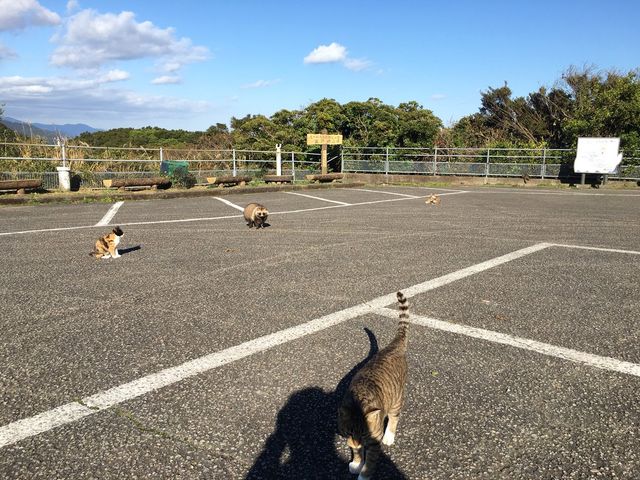 ȋȑqZ 238rڔLKCWuX [f]ڋ֎~]©bbspink.com	->摜>3749 