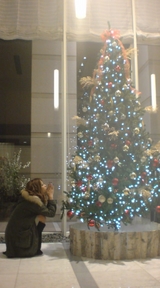 ������̿�����ĥ꡼�ˤ��ꤤ