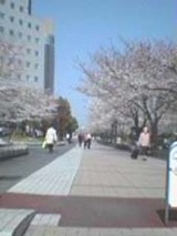 a84c1142.jpg
