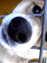 ¨��¨��ư
