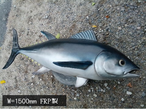 maguro2