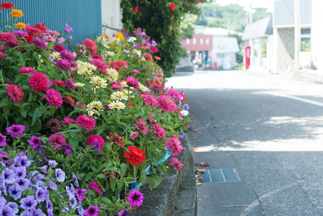 池村商店