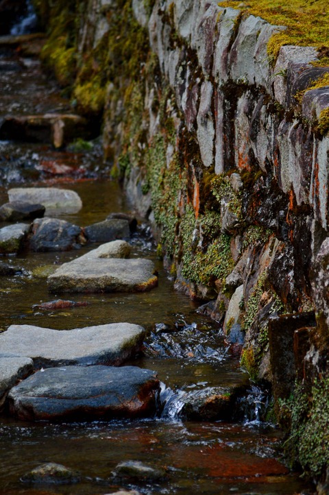 DSC_0772