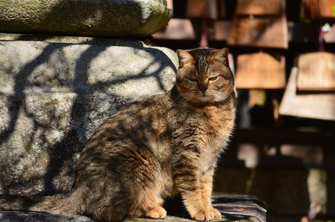 DSC_0757