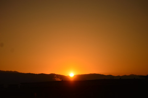 DSC_0700