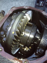 92f17743.jpg