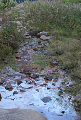 20091002_27