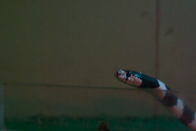 20090929_28