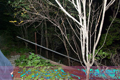 20090924_24