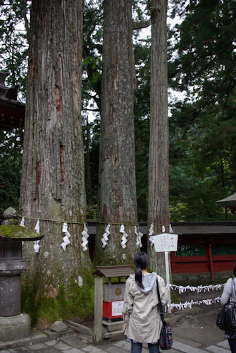 20091006_10